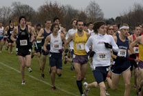 2008-11-08_12-02-24.jpg