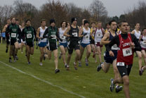 2008-11-08_12-02-27.jpg