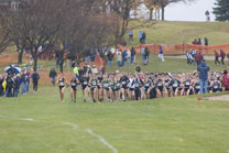 2008-11-08_13-01-35.jpg