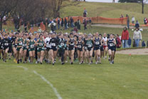 2008-11-08_13-01-46.jpg