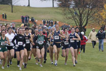 2008-11-08_13-01-55.jpg