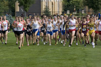 2008-10-03_14-46-13.jpg