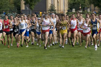 2008-10-03_14-46-14.jpg