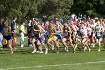 2008-10-03_14-46-20.jpg