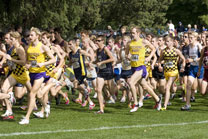 2008-10-03_14-46-22.jpg