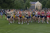2008-10-03_15-29-36.jpg