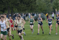 2008-10-03_15-29-44.jpg