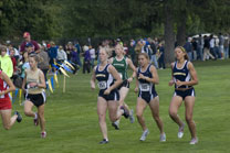 2008-10-03_15-29-46.jpg
