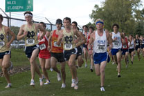 2008-10-03_15-32-12.jpg