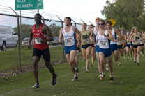 2008-10-03_15-32-32.jpg