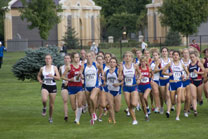 2008-10-03_16-13-43.jpg