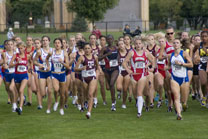 2008-10-03_16-13-44.jpg