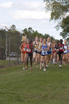 2008-10-03_16-16-08.jpg