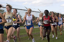 2008-10-03_16-16-13.jpg