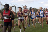 2008-10-03_16-16-14.jpg