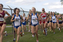 2008-10-03_16-16-15.jpg