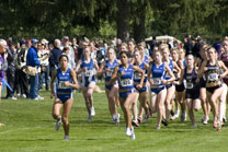 2008-10-03_13-58-44.jpg