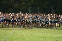 2008-10-16_17-02-01.jpg