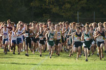 2008-10-16_17-02-04.jpg