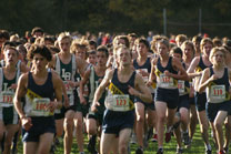 2008-10-16_17-02-10.jpg