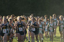2008-10-16_17-32-42.jpg