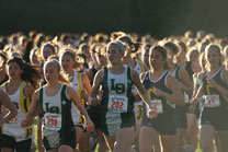 2008-10-16_17-32-43.jpg