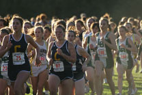 2008-10-16_17-32-45.jpg