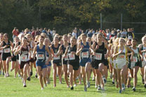 2008-10-16_16-31-46.jpg
