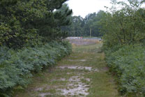 2008-08-02_07-58-32.jpg