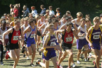 2008-10-04_13-41-01.jpg