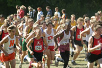 2008-10-04_13-41-02.jpg