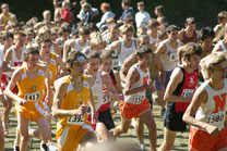 2008-10-04_13-41-03.jpg