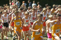 2008-10-04_13-41-04.jpg