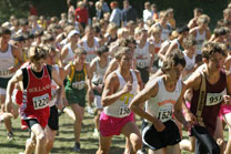 2008-10-04_13-41-06.jpg