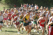 2008-10-04_13-41-08.jpg