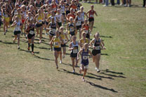 2008-10-04_14-40-54.jpg