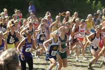 2008-10-04_14-41-13.jpg