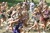 2008-10-04_14-41-14.jpg