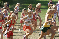 2008-10-04_14-41-19.jpg