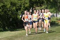2008-10-04_14-44-49.jpg