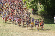 2008-10-04_14-10-05.jpg