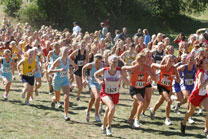 2008-10-04_14-10-15.jpg