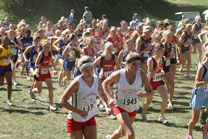 2008-10-04_14-10-21.jpg