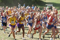 2008-10-04_14-10-22.jpg