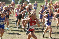 2008-10-04_14-10-26.jpg