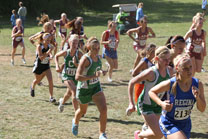2008-10-04_14-10-29.jpg