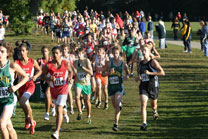 2008-10-04_09-42-34.jpg