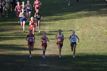 2008-10-04_10-40-50.jpg