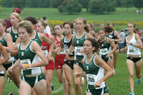2008-09-12_13-49-29.jpg