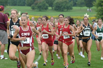 2008-09-12_13-49-33.jpg